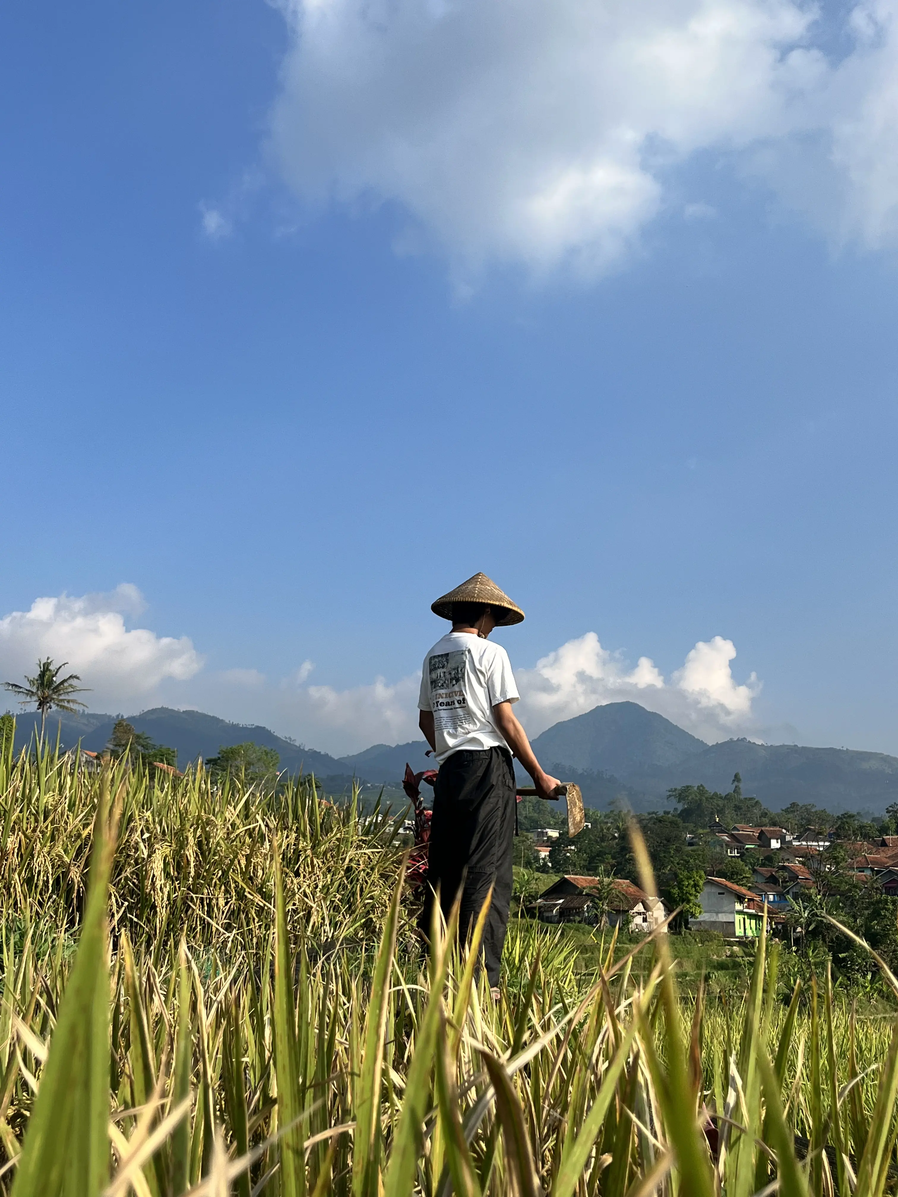 DTF Project 2 - Logo Apparel DTF