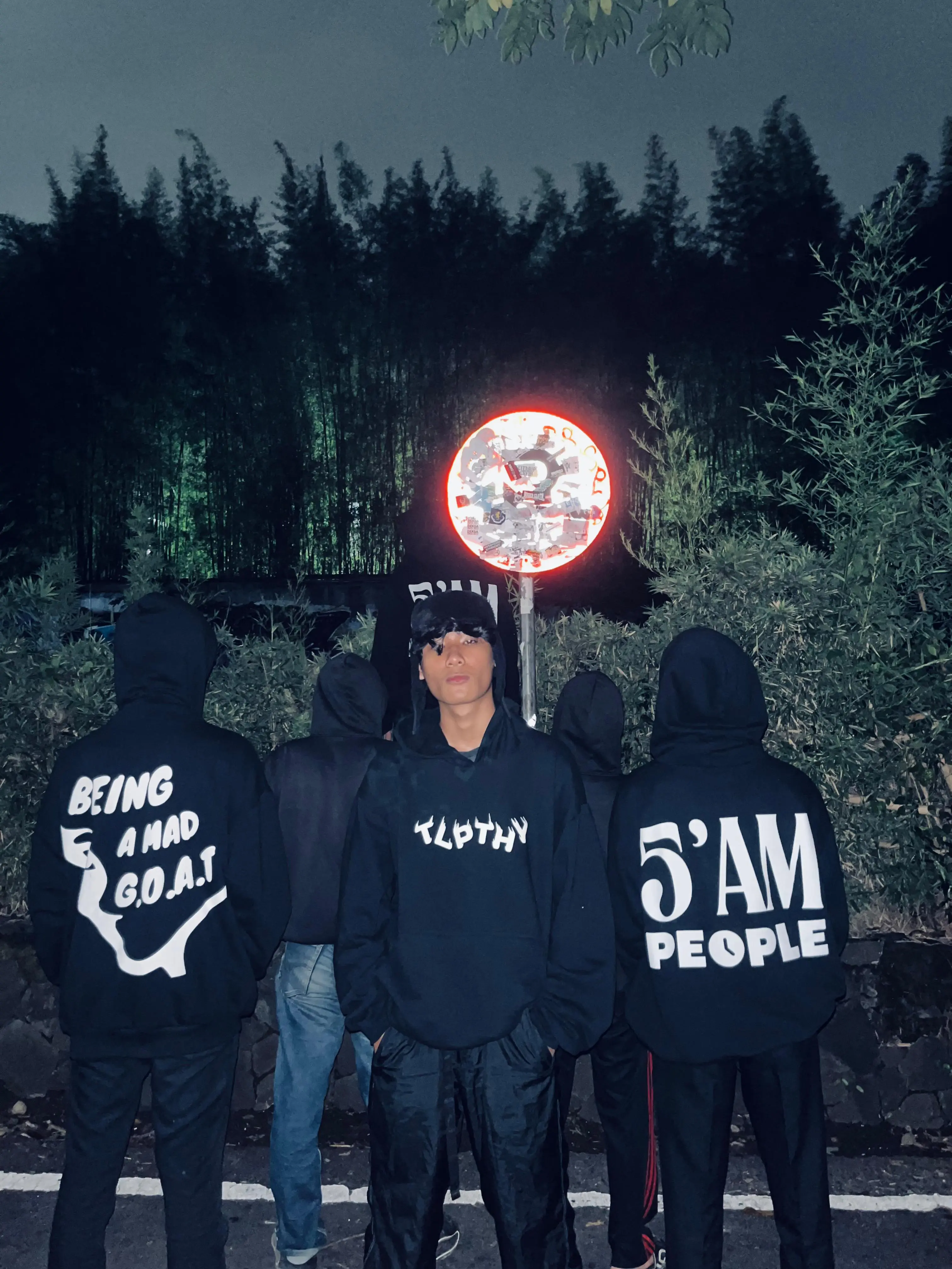 Hoodie Project 2 - Hoodie Custom DTF